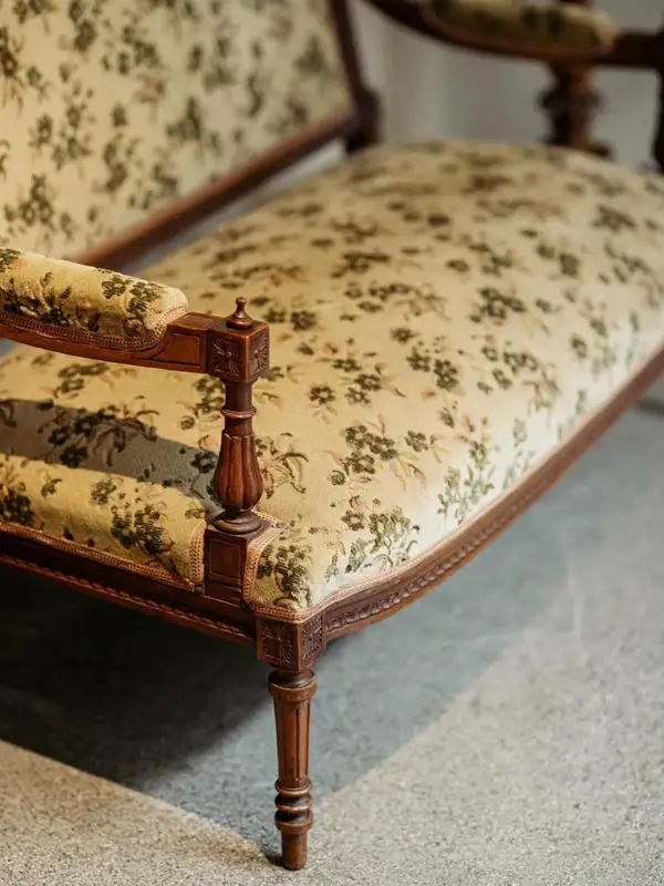 French-Inspired Mixed-Material Carved Lounge Chair — product image 3