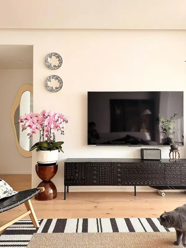 French-Inspired Solid Wood Storage TV Unit — product image 3